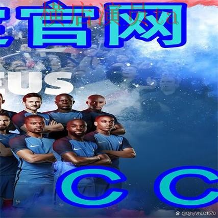 解析世界杯买球网站：从用户反馈到使用全流程解析 - 世界杯全球总决赛